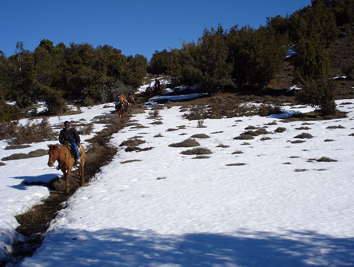 Cabalgatas en San Martín de los Andes - 2 horas por senderos de montaña