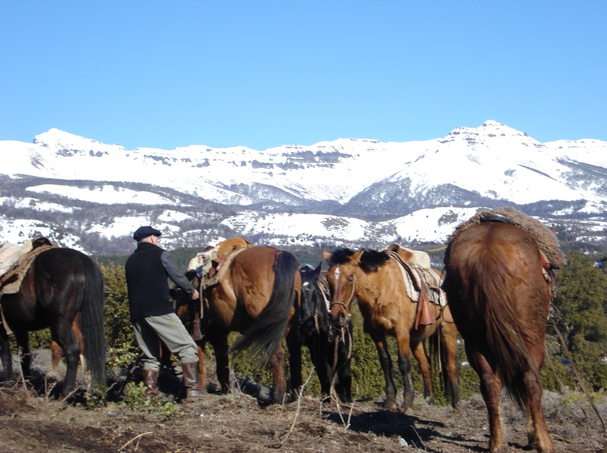Cabalgatas en San Martin de los Andes - 3 horas hasta Las Pendientes