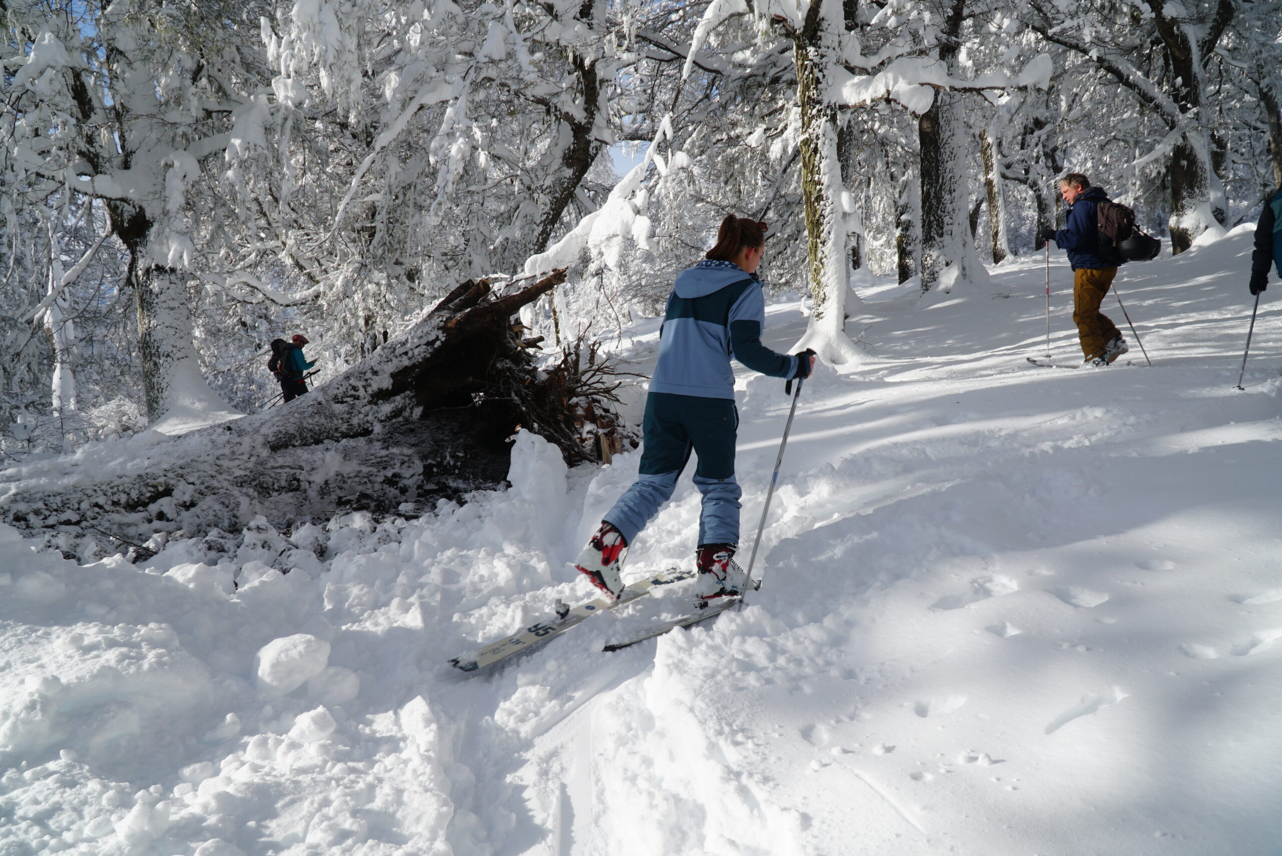 Ski de travesia