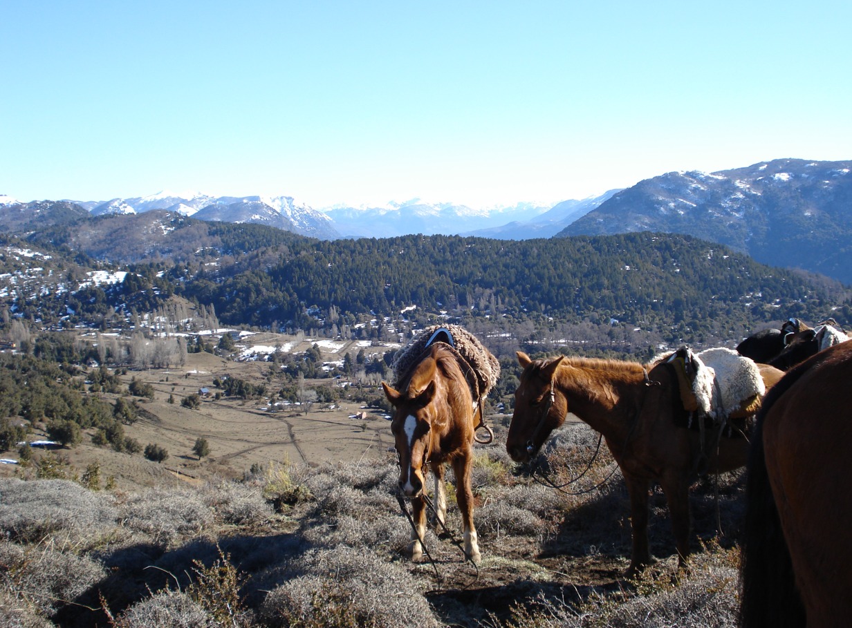 Cabalgatas en San Martin de los Andes - 4 horas hasta el Cerro Chapelco