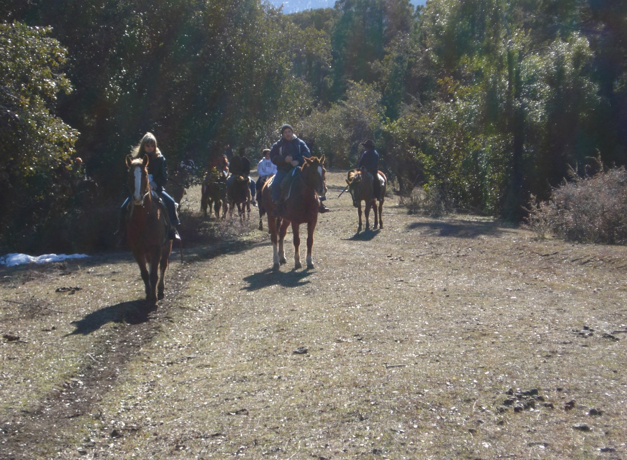Cabalgatas en San Martin de los Andes - 4 horas hasta el Cerro Chapelco