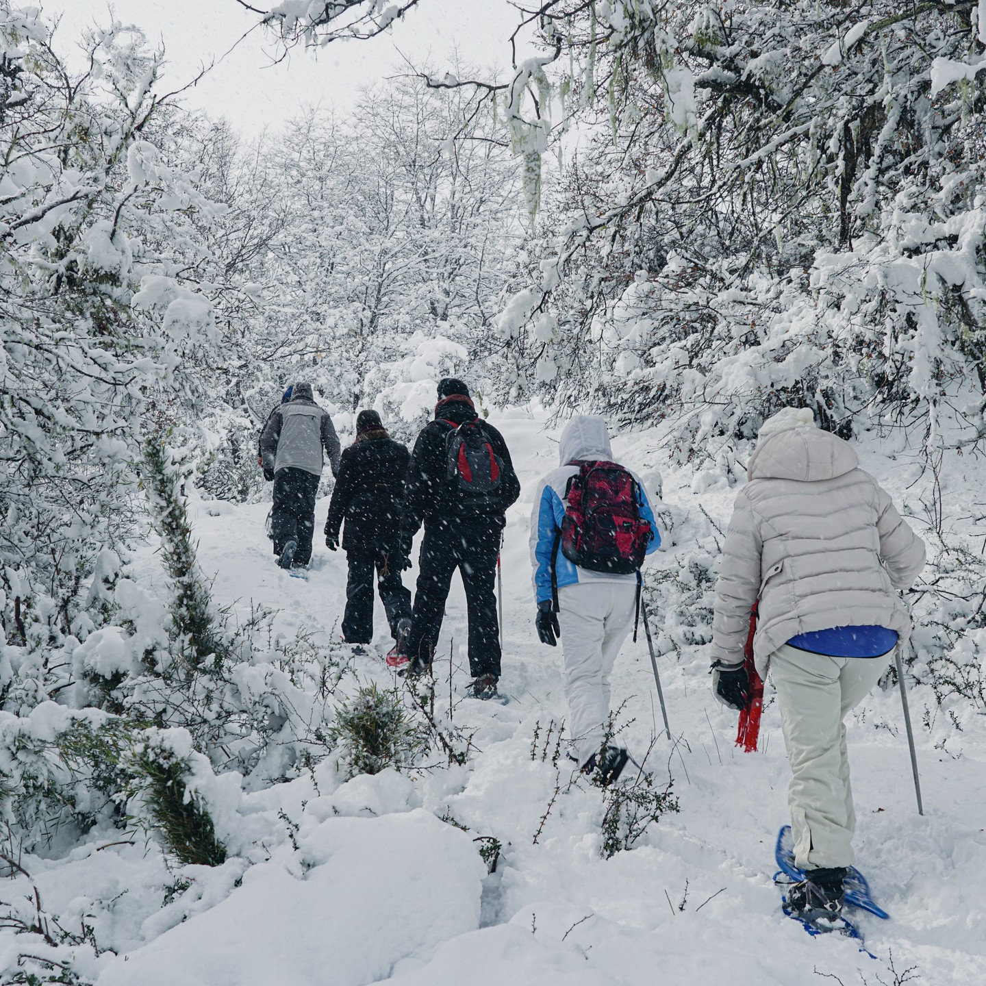 Caminata con raquetas en San Martin de los Andes